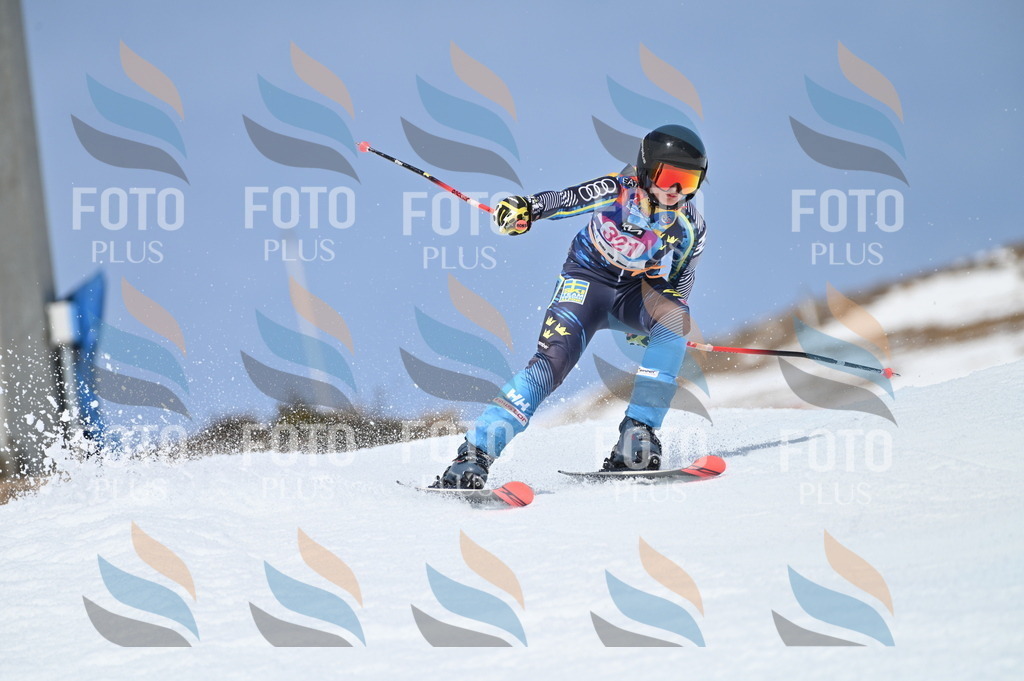 BGV_3115 | holidayphoto