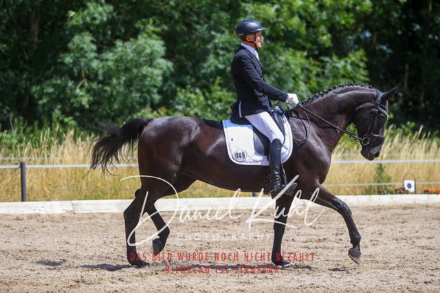 DKP46462 | Turniersportfotografie; Pferdefotografie; Dressurfotografie