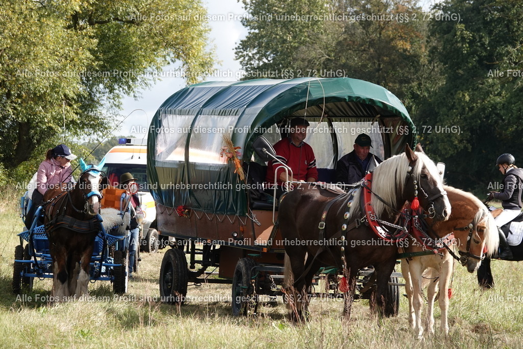 BMF09203 | krollfotografie - Realisiert mit Pictrs.com