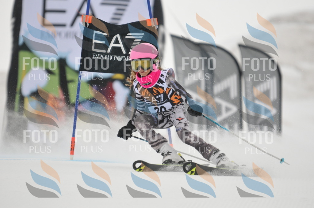 DSC_7539 | holidayphoto