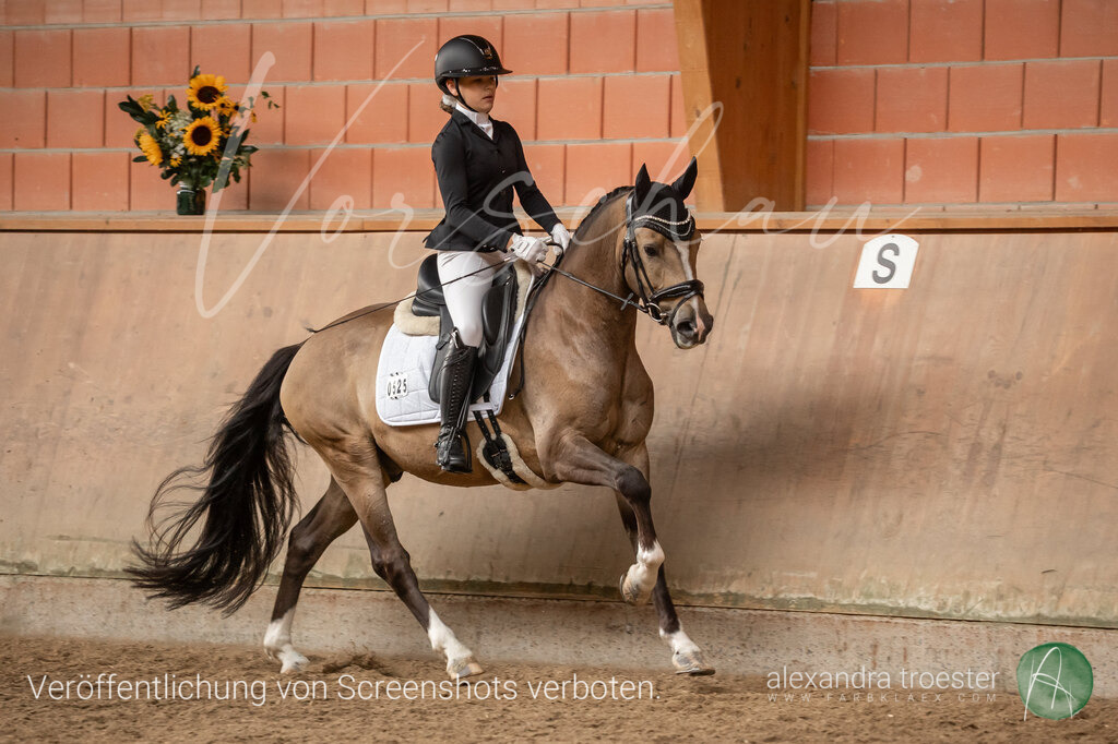 250912_Barop_06_103 | farbklaex.com
