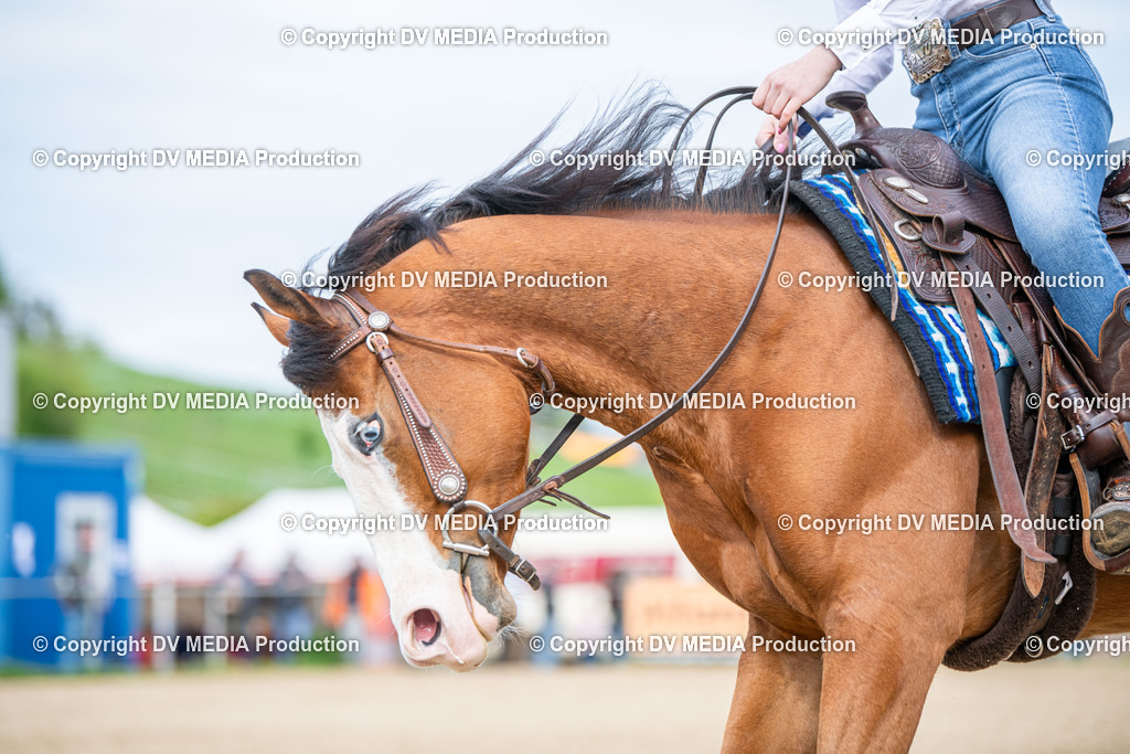 Heiligenwald Tag 1-2482 | dv-media-shop - Realisiert mit Pictrs.com