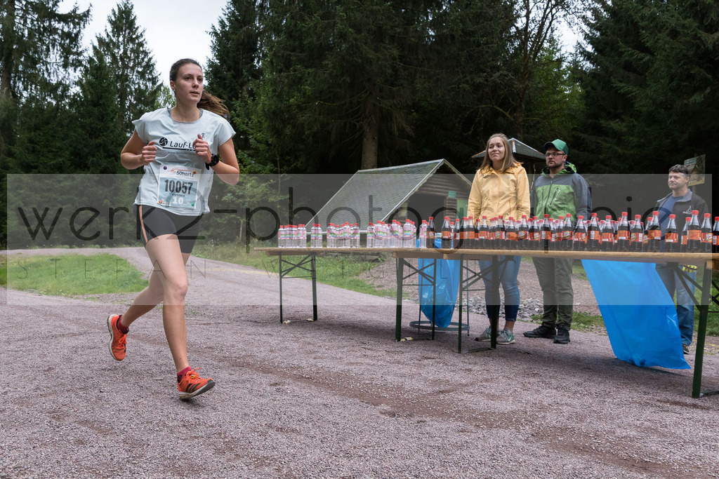 Herbstlauf | Neuhaus/Rwg. - Masserberg am 3. Oktober 2020