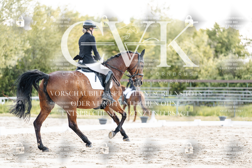 CK909684 | Turnierfotografie Pferdefotografie Trier Rheinland-Pfalz Pferdesport Reitsport Tierfotografie Sportfotografie Pferdevideo Pferdevideografie Equestrianvideography equestrianphotography  - Realisiert mit Pictrs.com