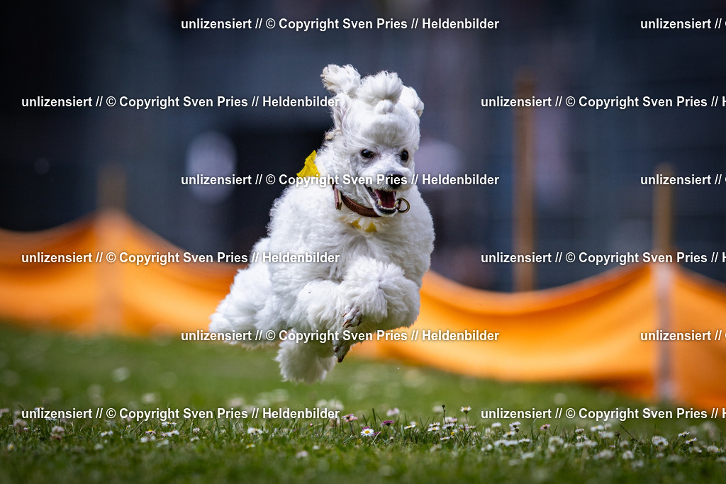 Sven Pries | 2025-05-29 - Pudelrennen KA-Durlach - Realisiert mit Pictrs.com