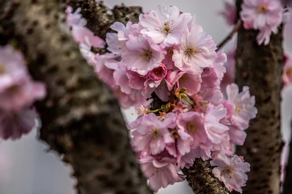 IMG_2145 | ehrlichefotos - Realisiert mit Pictrs.com