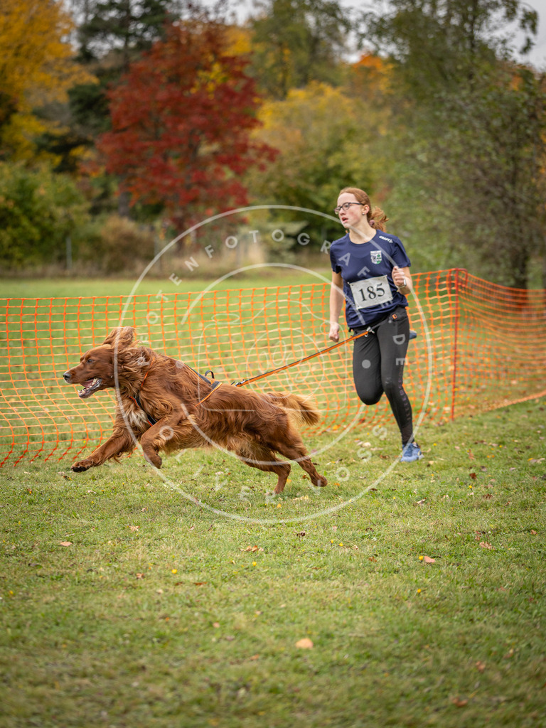 Pfotenfotografie_DV3A3752 | Hundefotografie, Tierfotograf, Pfotenfotografie, Fotoshooting Hund, Hunde Portrait, Hundesport, Hundeportraits, Heideshooting, Hunde, Sportfotograf, Hundefotograf, Turnierhundsport, THS,  - Realisiert mit Pictrs.com