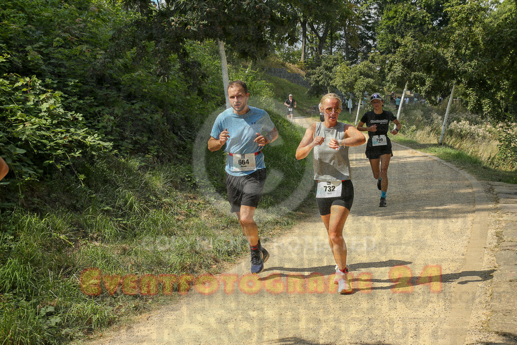 250824_1454_EX1_7989 | Sportfotografie im Rhein-Sieg Kreis, Köln, Bonn, NRW, Rheinland Pfalz, Hessen, etc. Unser Tätigkeitsfeld umfasst den Laufsport vom Volkslauf über den Marathon, Duathlon, Triathon bis zum Ultralauf wie Kölnpfad Ultra oder Schindertrail.