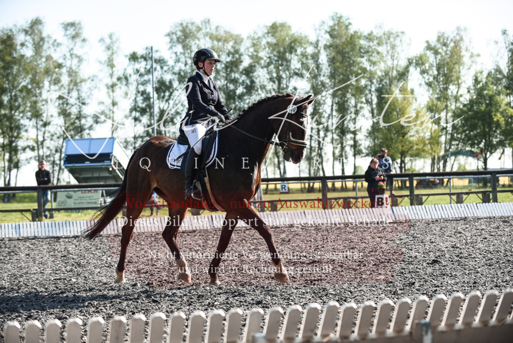 DSC_8291 | Pferde- und Turnierfotografie in Westsachsen. Pferdeportraits, Auftragszeichnungen und intuitive Kunst.