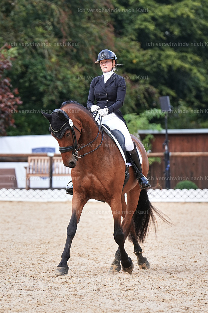 07-189-DRESSUR  S___  -Marixx-5156 | working equitationturnier fotograf videograf stoibphotography marixx film working equitation deutschland reitsport turnierfotografie eventfotografie equestrian events