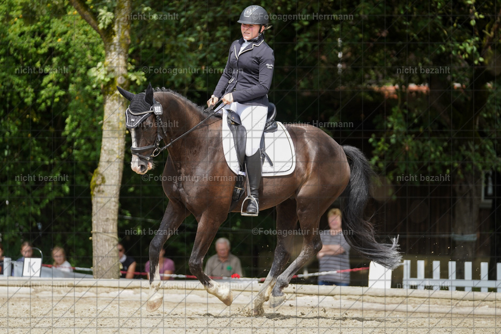 20230826-FAH05266 | Forstinning, 2023, Dressurturnier, Turniersportbilder, Turnierfotografen Bayern, Fotoagentur Herrmann, Reitsportfotografie, Turnierbilder