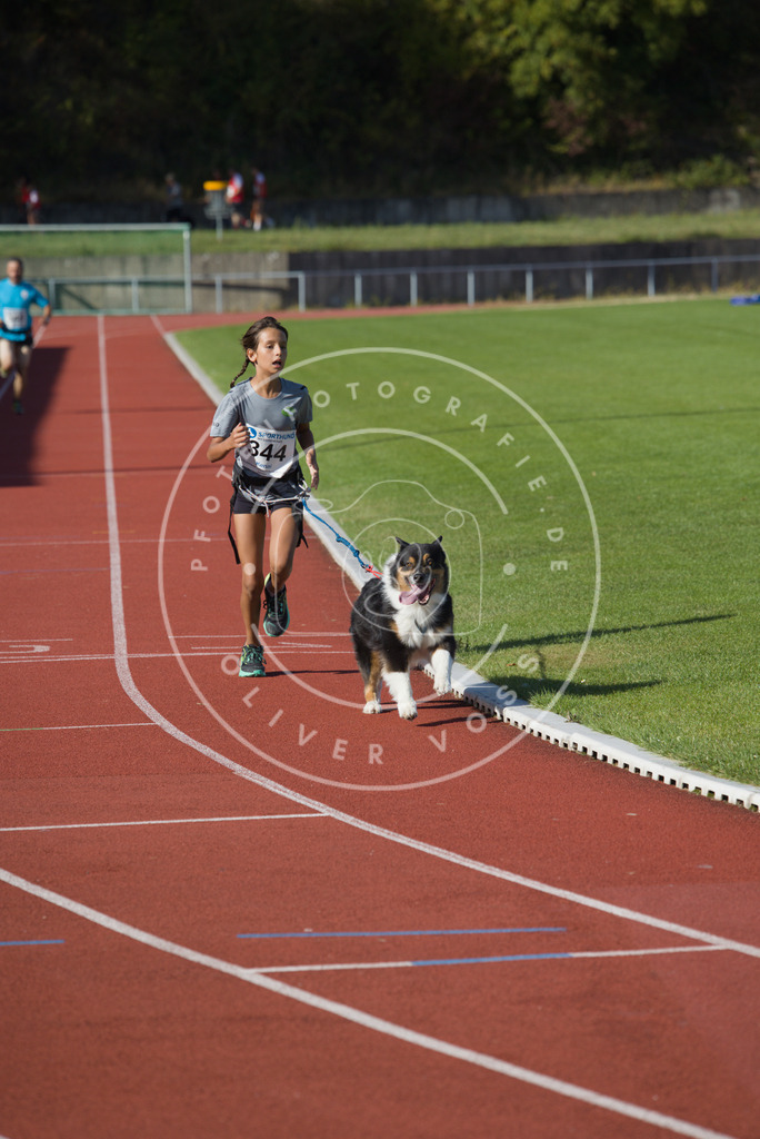 0L8A9081 | Hundefotografie, Tierfotograf, Pfotenfotografie, Fotoshooting Hund, Hunde Portrait, Hundesport, Hundeportraits, Heideshooting, Hunde, Sportfotograf, Hundefotograf, Turnierhundsport, THS,  - Realisiert mit Pictrs.com