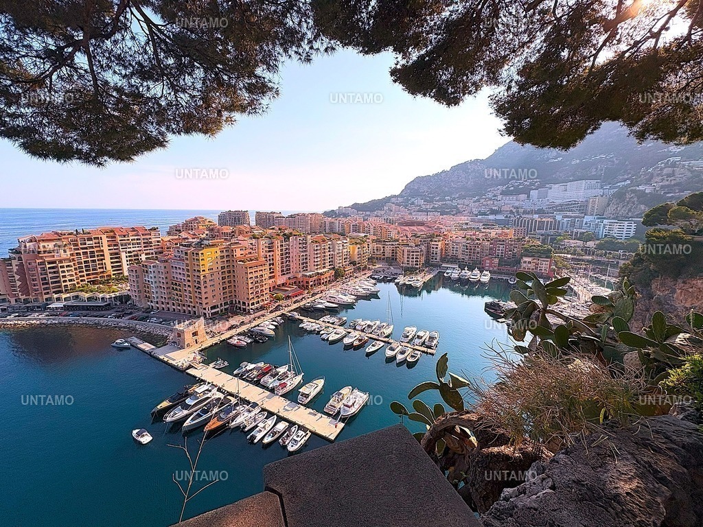 Monte Carlo blick | untamo - Realisiert mit Pictrs.com