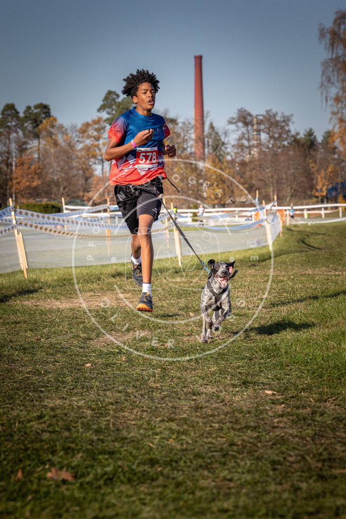 CaniXpix_0L8A8176 | Hundefotografie, Tierfotograf, Pfotenfotografie, Fotoshooting Hund, Hunde Portrait, Hundesport, Hundeportraits, Heideshooting, Hunde, Sportfotograf, Hundefotograf, Turnierhundsport, THS,  - Realisiert mit Pictrs.com
