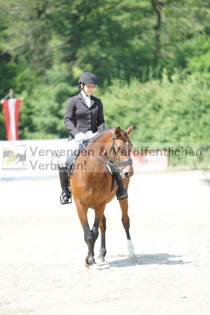 DSC01677 | equestrian-live-com