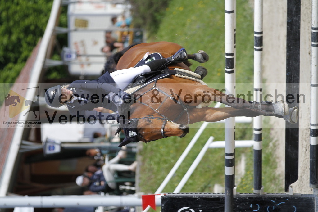 _MG_8697 | equestrian-live-com