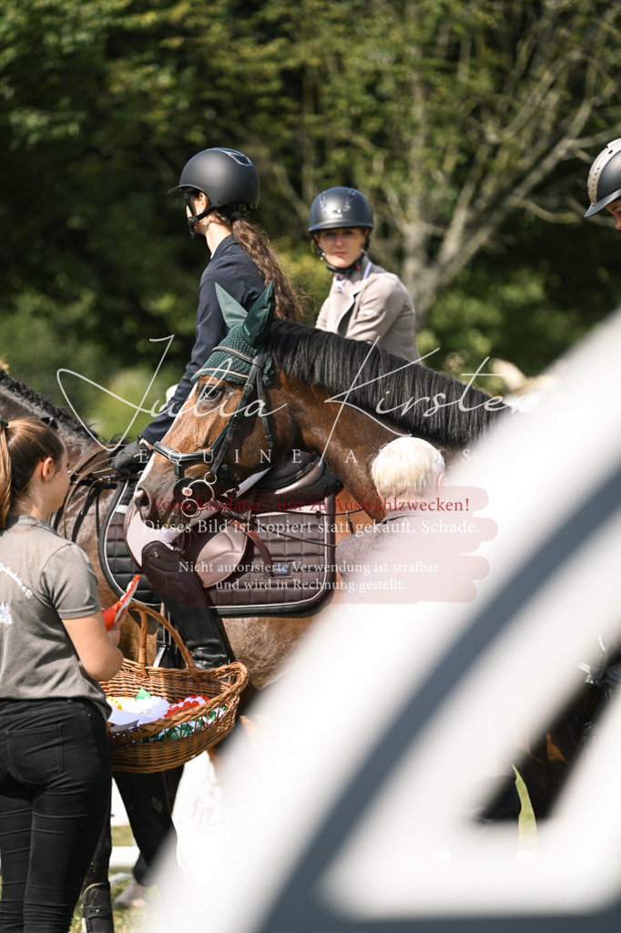 DSC_0699 | Pferde- und Turnierfotografie in Westsachsen. Pferdeportraits, Auftragszeichnungen und intuitive Kunst.