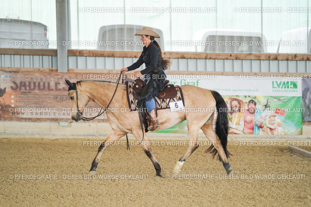 DSC02528 | Pferdegrafie