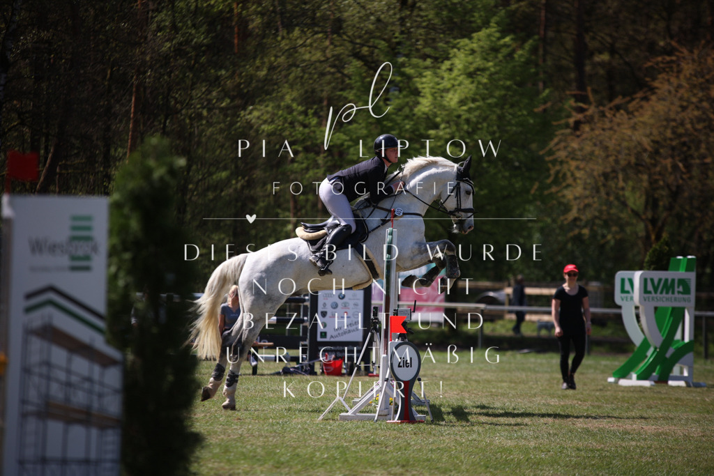 IMGT1180 | pl-fotografie