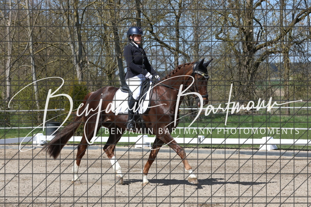 AZ2A4013 | Benjamin Bartmann Photomoments