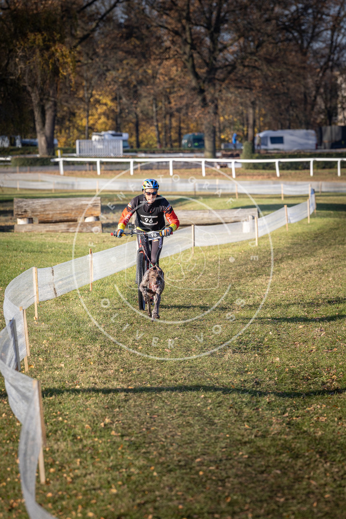 CaniXpix_DV3A2020 | Hundefotografie, Tierfotograf, Pfotenfotografie, Fotoshooting Hund, Hunde Portrait, Hundesport, Hundeportraits, Heideshooting, Hunde, Sportfotograf, Hundefotograf, Turnierhundsport, THS,  - Realisiert mit Pictrs.com