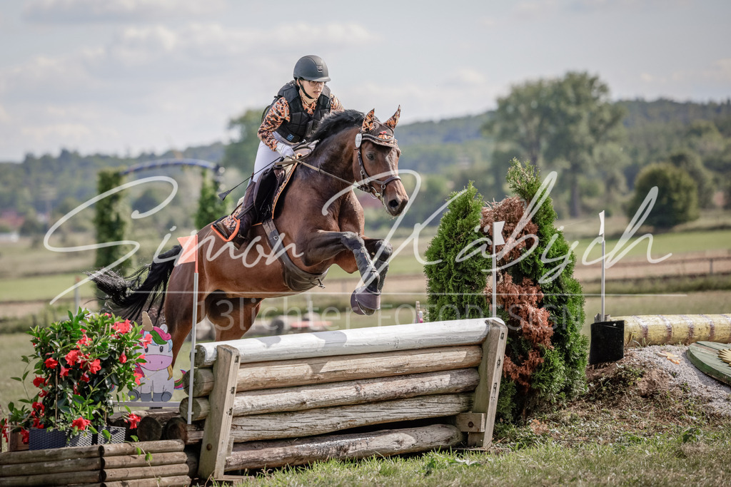 20250906-_3LI6850 | Tierfotografie Pferde, Hunde, Katzen, Haustiere.
Turnierfotografie Reitturniere, Reiten, Springreiten, Dressur in Hanau, dem Main-Kinzig-Kreis und dem Rhein-Main- Gebiet um Frankfurt