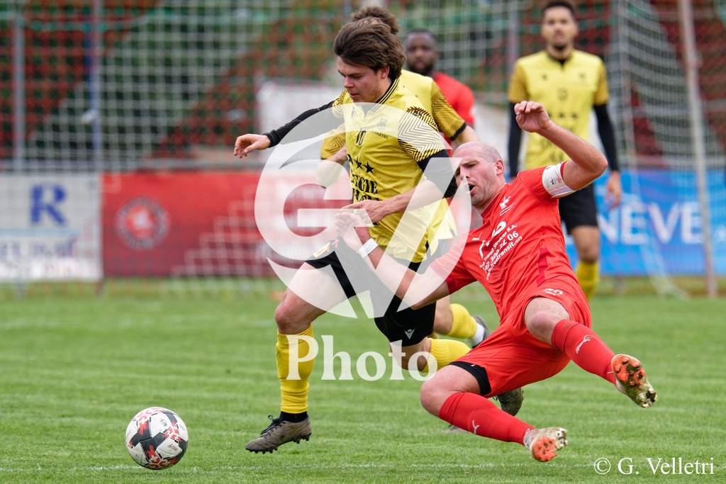 DSC_7299 | Velletri Photo