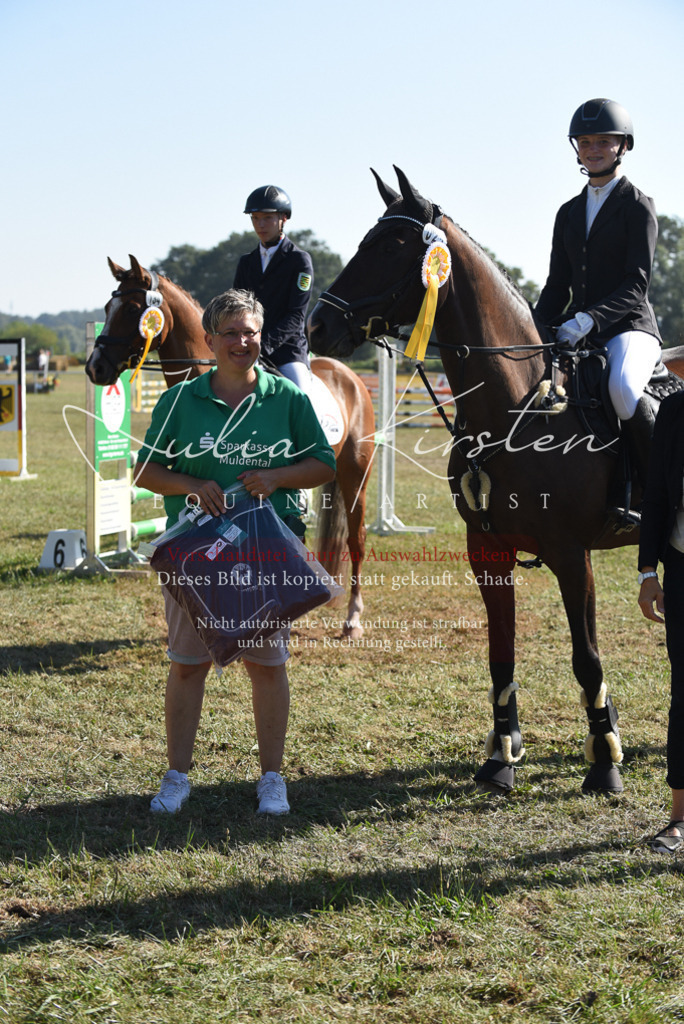 DSC_5437 | Pferde- und Turnierfotografie in Westsachsen. Pferdeportraits, Auftragszeichnungen und intuitive Kunst.