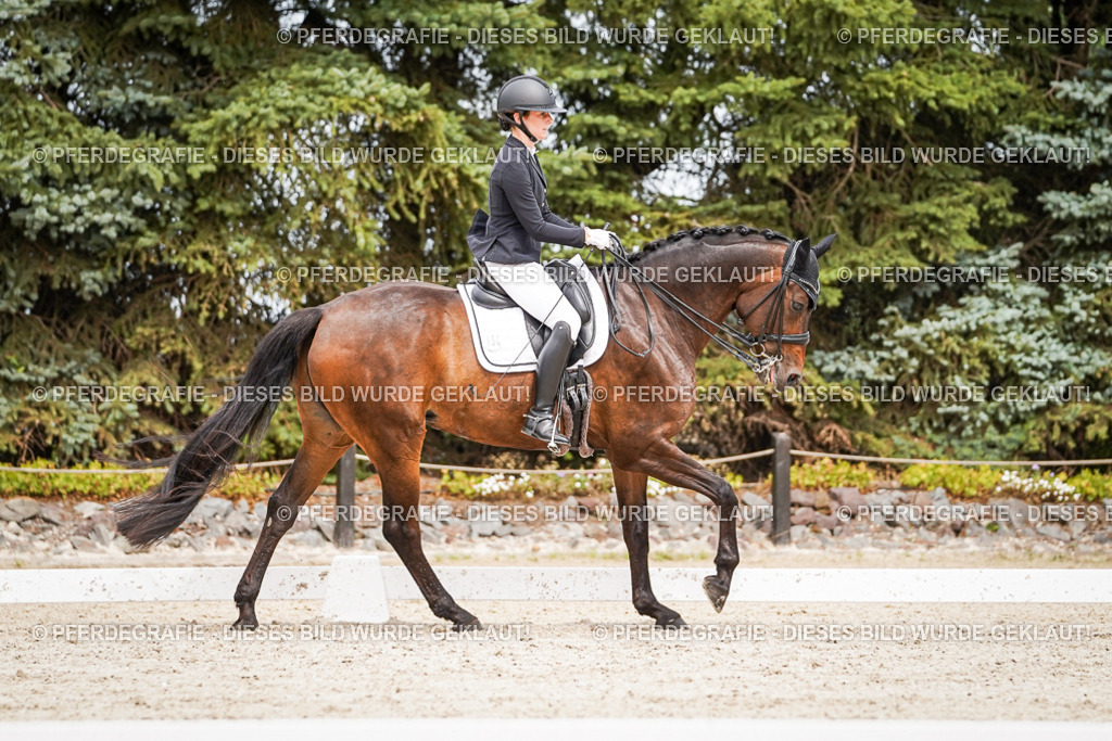 DSC05855 | Pferdegrafie