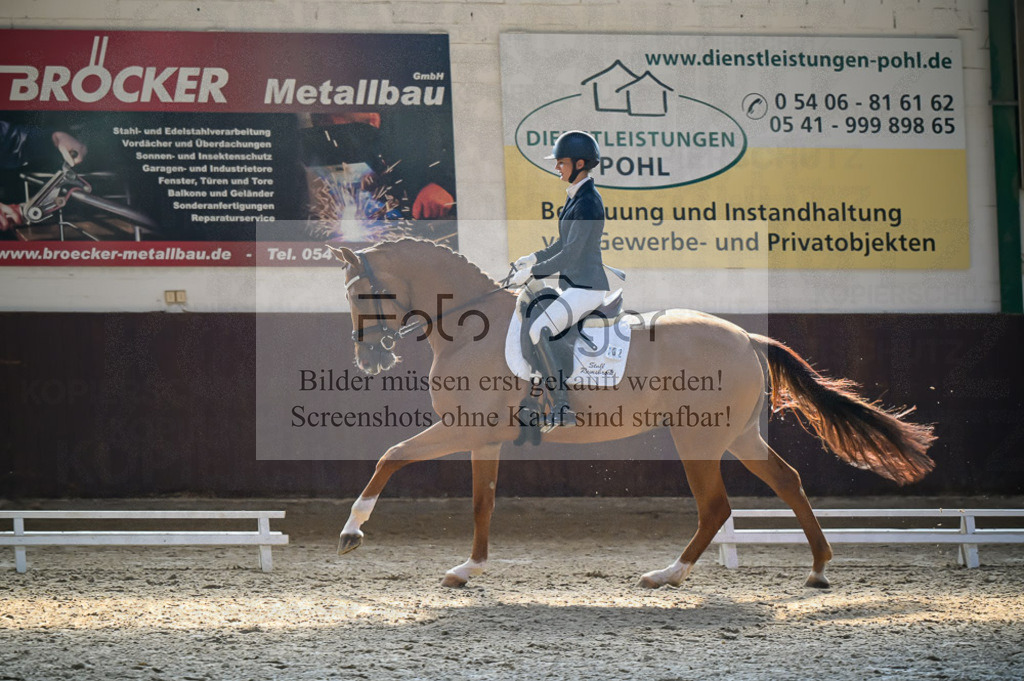 Reitturnier Voxtrup | Entdecke hochwertige Reitturnierfotos von Foto Oger. Professionell, emotional und authentisch – jetzt Lieblingsmomente im Shop bestellen.Deutschlandweite Turnierfotografie. - Realized with Pictrs.com