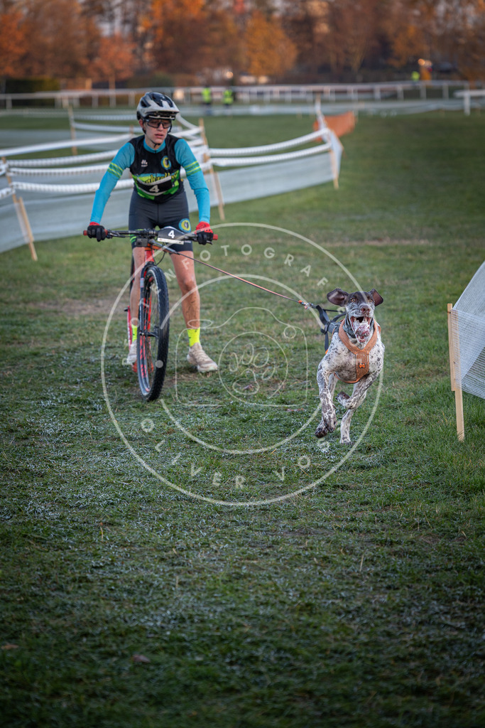 CaniXpix_0L8A1021 | Hundefotografie, Tierfotograf, Pfotenfotografie, Fotoshooting Hund, Hunde Portrait, Hundesport, Hundeportraits, Heideshooting, Hunde, Sportfotograf, Hundefotograf, Turnierhundsport, THS,  - Realisiert mit Pictrs.com