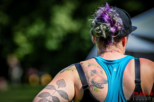 Ausstellung des Pinscher Schnauzer-Klub | Ausstellung des Pinscher-Schnauzer-Klub, OG München in Gröbenzell 30.07.2023 Foto: Leo Wyden