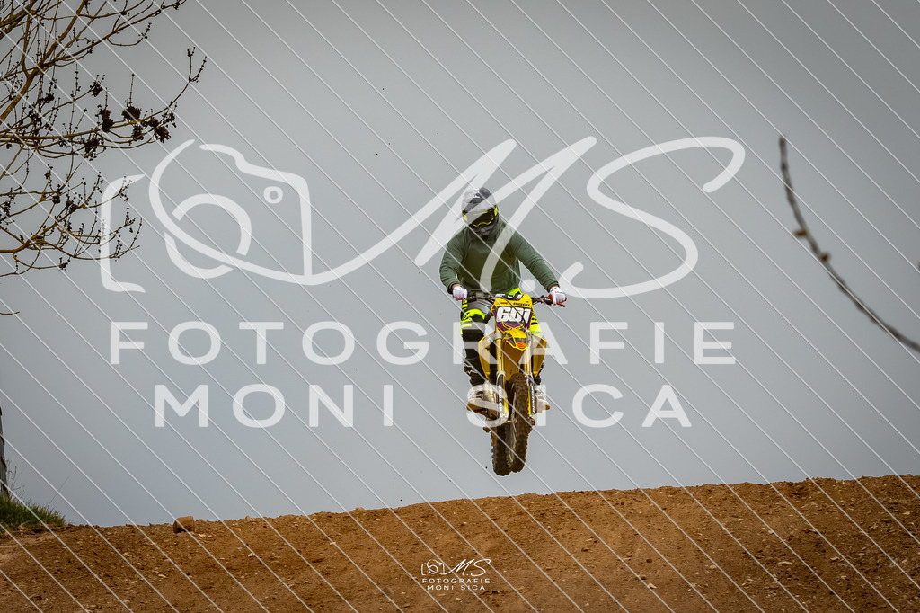 20260321-162A1237 | moni.sica.fotografie - Realisiert mit Pictrs.com