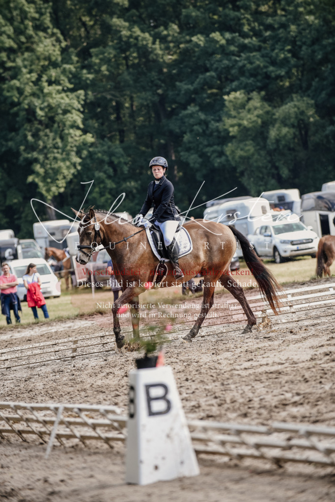 DSC_9306 | Pferde- und Turnierfotografie in Westsachsen. Pferdeportraits, Auftragszeichnungen und intuitive Kunst.