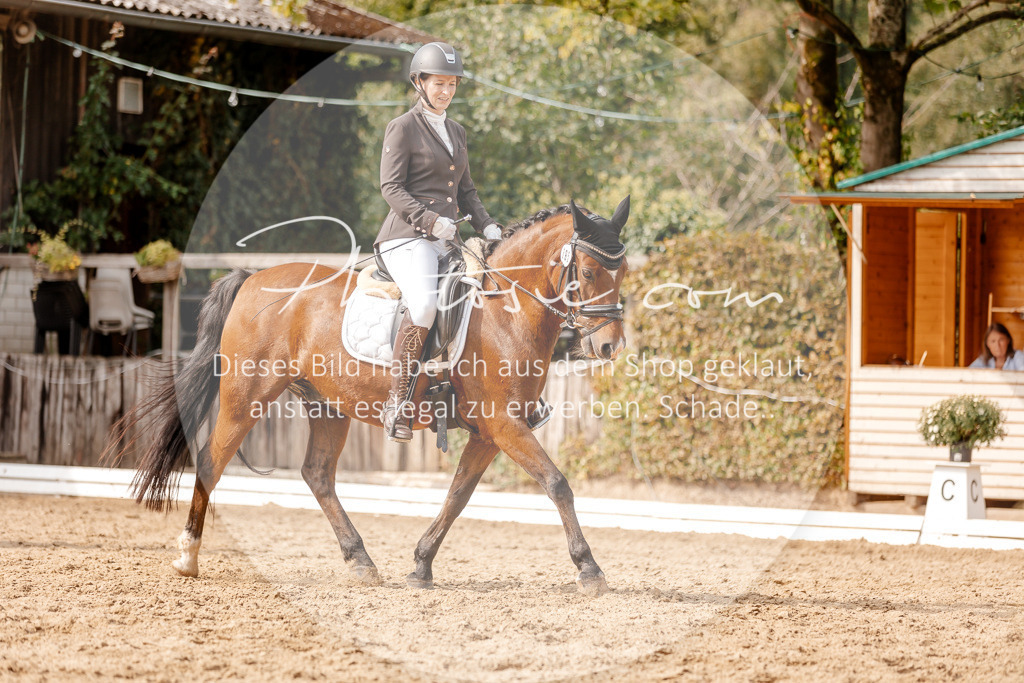 3I6A4305 | Stimmungsvolle Portraits und Reitsportfotografie im Ruhrgebiet und im Münsterland.

Pferdefotografie, Hundefotografie, Tierfotografie, Reportagen, Portraits von Tier und Mensch, Turnierfotografie in Bochum, Recklinghausen, Marl, Haltern am See, Dülmen.. - Realisiert mit Pictrs.com