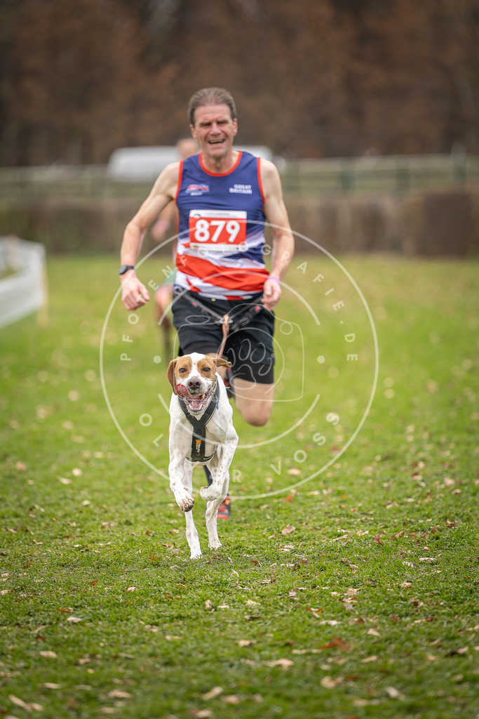 CaniXpix_DV3A6711 | Hundefotografie, Tierfotograf, Pfotenfotografie, Fotoshooting Hund, Hunde Portrait, Hundesport, Hundeportraits, Heideshooting, Hunde, Sportfotograf, Hundefotograf, Turnierhundsport, THS,  - Realisiert mit Pictrs.com