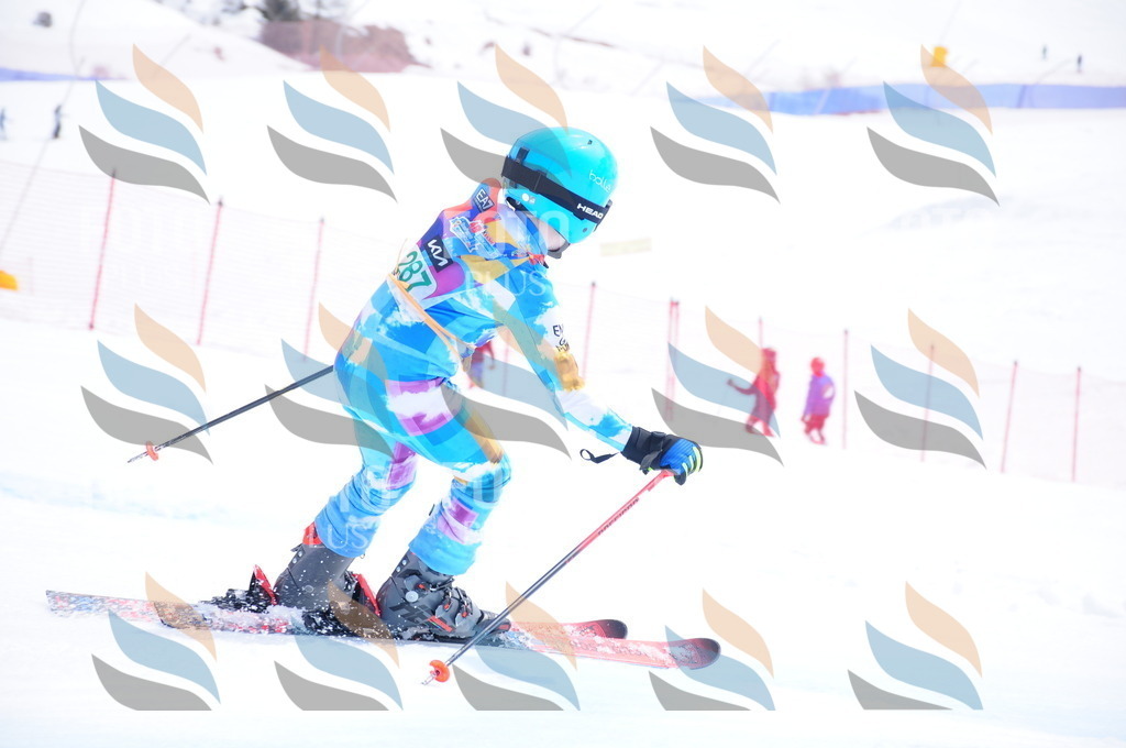 DSC_2770 | holidayphoto