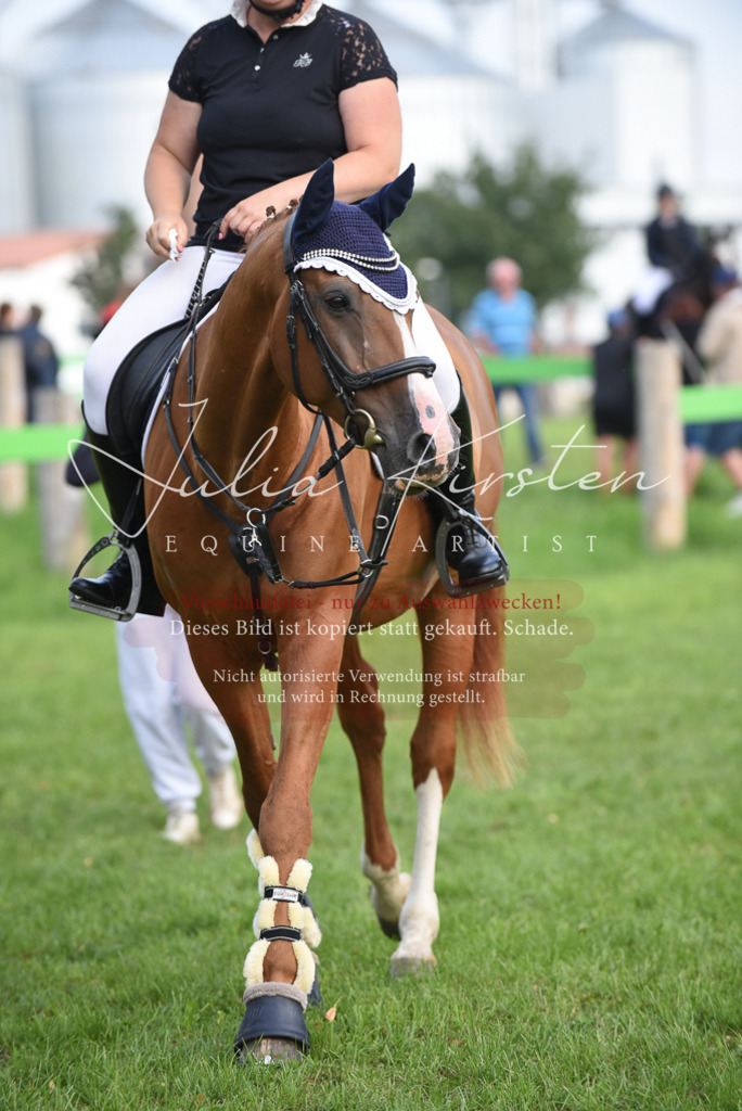 DSC_8592 | Pferde- und Turnierfotografie in Westsachsen. Pferdeportraits, Auftragszeichnungen und intuitive Kunst.