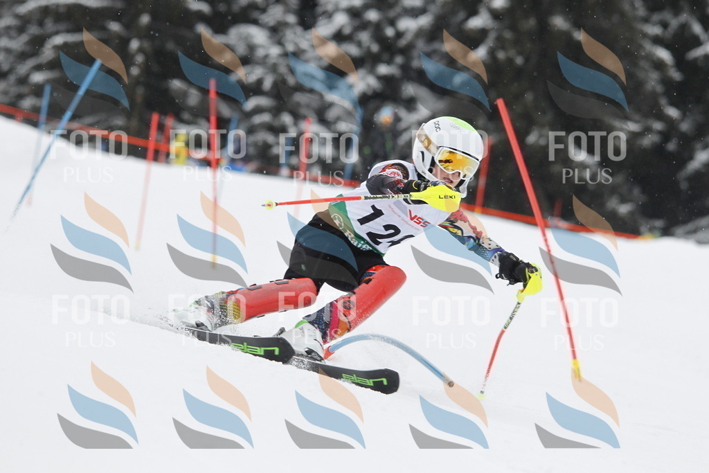 A1440 | holidayphoto