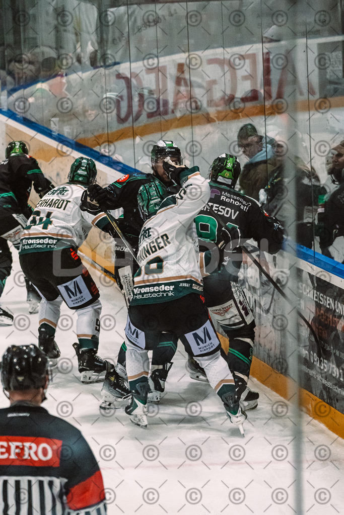 Alligators_vs_Erding_12_12_2025-193 | Höchstadt Alligators Fotogalerie: Eishockey-Action aus Franken. Professionelle Spielfotos, Portraits & Stadionbilder zum Download. Jetzt entdecken! - Realisiert mit Pictrs.com