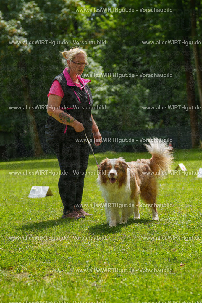 @allesWIRTHgut_Tierfotografie - www.allesWIRTHgut.de - 7R505030 | Professionelle Tierfotografie in Mönchengladbach von Daniel Wirth (allesWIRTHgut). Liebevolle & natürliche Bilder von Hunden & Katzen für unvergessliche Erinnerungen.