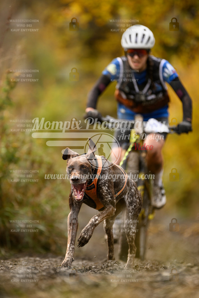 MompixPhotography_ICF_WC_2024_SA_Bike_-132 | PayLife