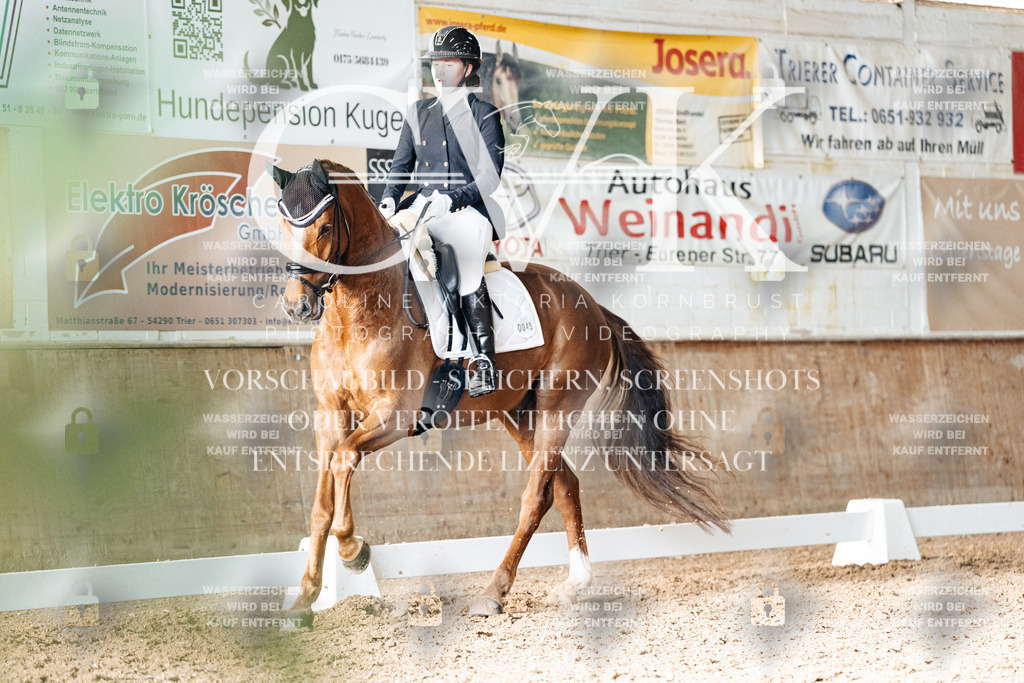 CK903181 | Turnierfotografie Pferdefotografie Trier Rheinland-Pfalz Pferdesport Reitsport Tierfotografie Sportfotografie Pferdevideo Pferdevideografie Equestrianvideography equestrianphotography  - Realisiert mit Pictrs.com
