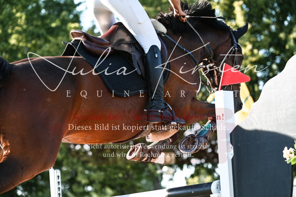 DSC_3117 | Pferde- und Turnierfotografie in Westsachsen. Pferdeportraits, Auftragszeichnungen und intuitive Kunst.