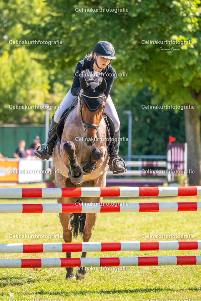 IMG_1837 | Celinakurthfotografie - Realisiert mit Pictrs.com