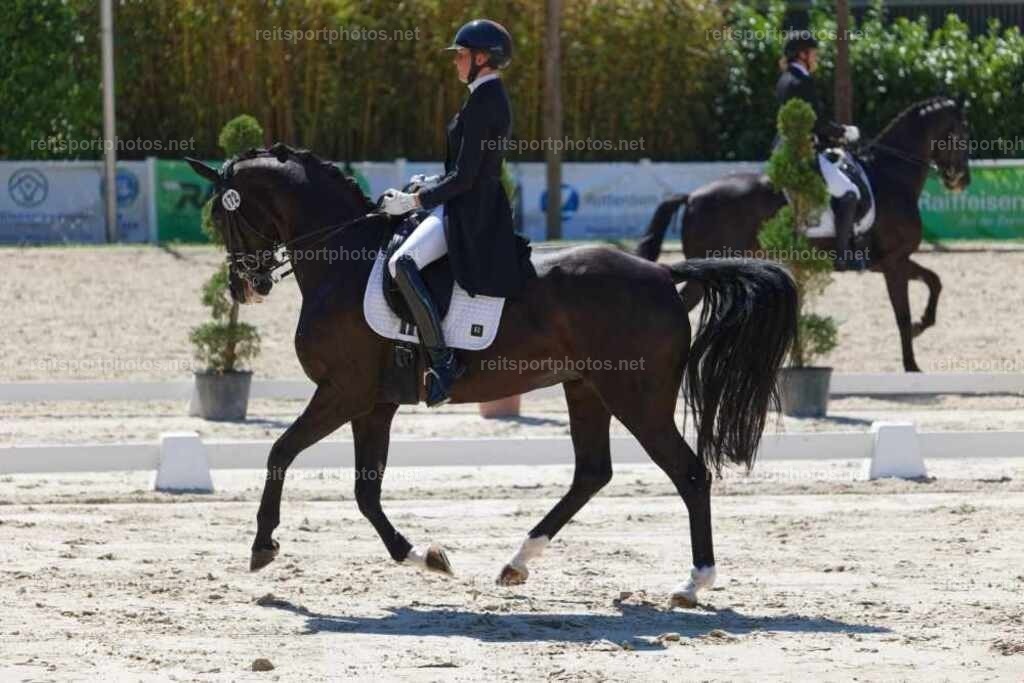 JHE_2531 | JoYa Fotografie - Realisiert mit Pictrs.com