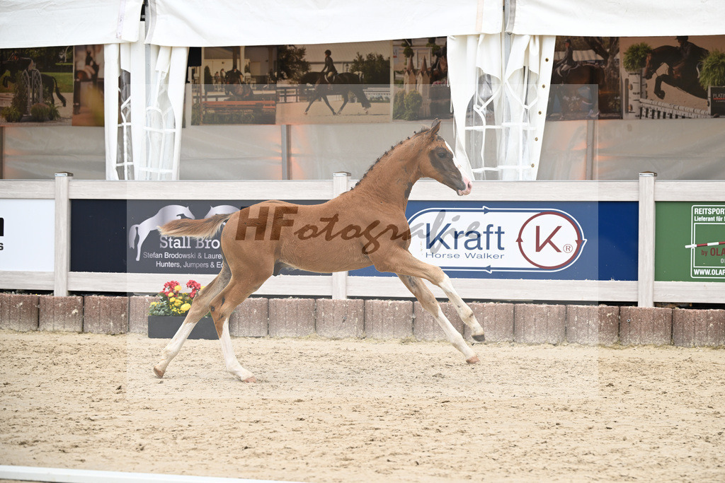 Filox x Borsalino_HF_Geiger_12250597 | hf-fotografie - Realizzato con Pictrs.com