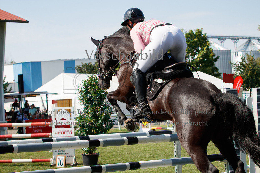 IMG_3673 | P. Berger Fotografie - Realisiert mit Pictrs.com