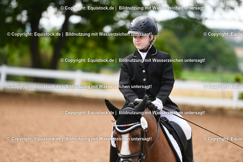 20230716_10-2_Reiter-WB Schritt - Trab - Galopp_0134 | equistock