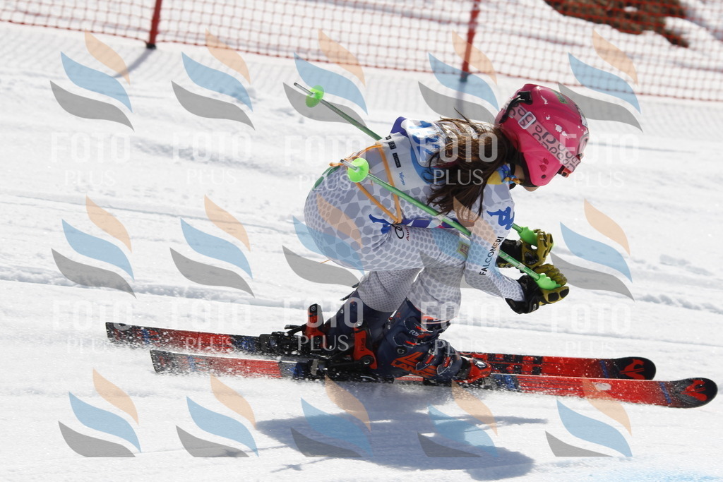 _U3G0905 | holidayphoto